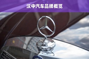 汉中汽车品牌概览