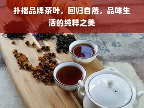 扑拙品牌茶叶，回归自然，品味生活的纯粹之美