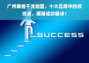 广州赛维干洗加盟，十大品牌中的佼佼者，揭秘成功秘诀！