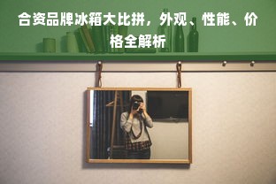 合资品牌冰箱大比拼，外观、性能、价格全解析