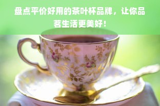 盘点平价好用的茶叶杯品牌，让你品茗生活更美好！