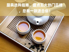 厨具选购指南，盘点五大热门品牌，总有一款适合你！