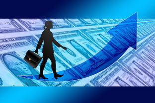 掌握白条提现技巧，安全便捷地管理个人资金