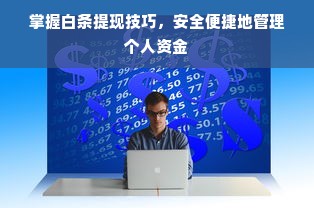 掌握白条提现技巧，安全便捷地管理个人资金