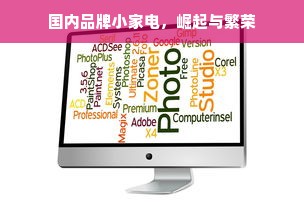 国内品牌小家电，崛起与繁荣