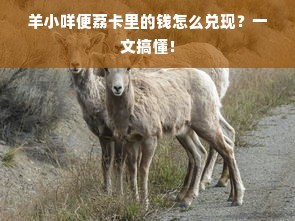 羊小咩便荔卡里的钱怎么兑现？一文搞懂！