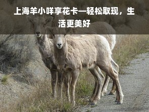 上海羊小咩享花卡—轻松取现，生活更美好