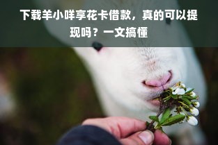 下载羊小咩享花卡借款，真的可以提现吗？一文搞懂