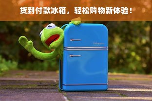 货到付款冰箱，轻松购物新体验！