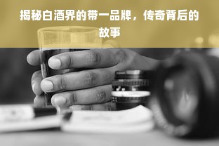 羊小咩便荔卡额度提现商家攻略，如何提升可用额度？