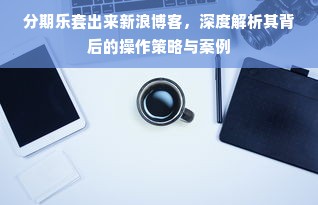 分期乐套出来新浪博客，深度解析其背后的操作策略与案例