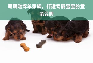 萌萌哒绵羊家族，打造专属宝宝的童装品牌
