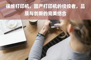 徕维打印机，国产打印机的佼佼者，品质与创新的完美结合
