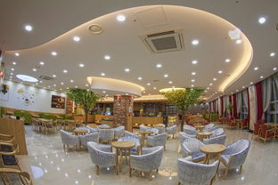 乐联酒店厨具—匠心独运，打造高品质餐饮体验
