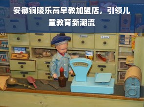 安徽铜陵乐高早教加盟店，引领儿童教育新潮流