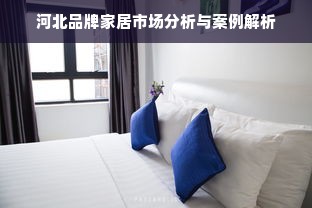 河北品牌家居市场分析与案例解析