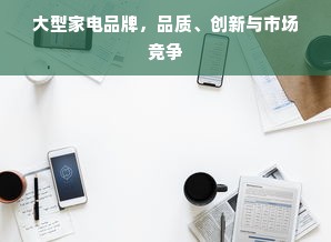 大型家电品牌，品质、创新与市场竞争