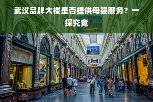 武汉品牌大楼是否提供母婴服务？一探究竟
