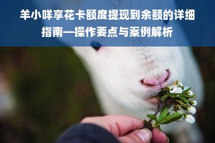 羊小咩享花卡额度提现到余额的详细指南—操作要点与案例解析
