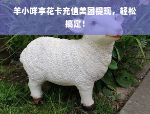 羊小咩享花卡充值美团提现，轻松搞定！