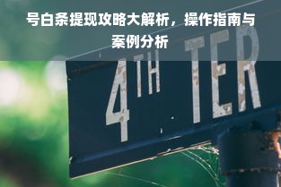 号白条提现攻略大解析，操作指南与案例分析