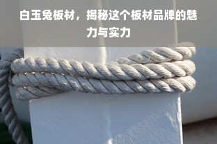 白玉兔板材，揭秘这个板材品牌的魅力与实力