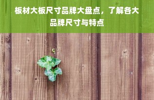 板材大板尺寸品牌大盘点，了解各大品牌尺寸与特点