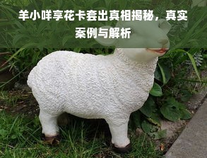 羊小咩享花卡套出真相揭秘，真实案例与解析