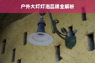 户外大灯灯泡品牌全解析