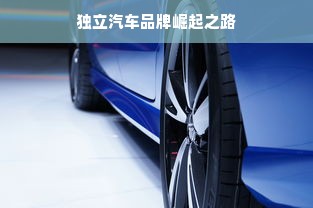 独立汽车品牌崛起之路
