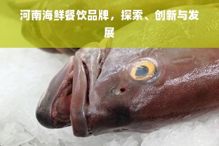 微信分付额度提现商家，支持微信分付额度的实际操作与注意事项