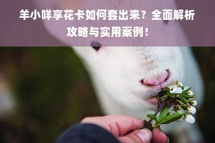 中档工业油漆选购指南，性价比品牌全解析