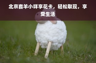 北京套羊小咩享花卡，轻松取现，享受生活