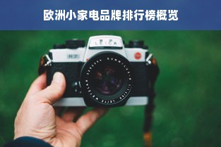 欧洲小家电品牌排行榜概览