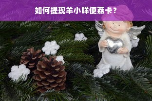 如何提现羊小咩便荔卡？