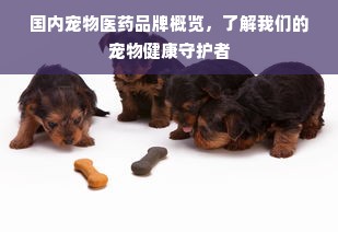 国内宠物医药品牌概览，了解我们的宠物健康守护者