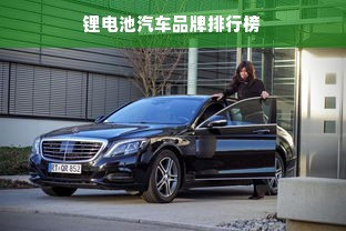 锂电池汽车品牌排行榜