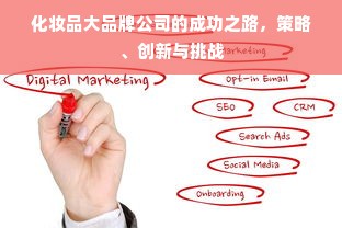 化妆品大品牌公司的成功之路，策略、创新与挑战
