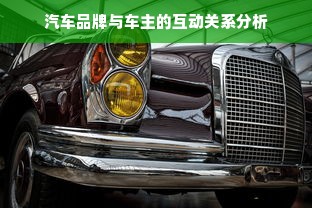 汽车品牌与车主的互动关系分析
