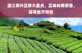 湛江茶叶品牌大盘点，品味岭南茶香，探寻地方特色