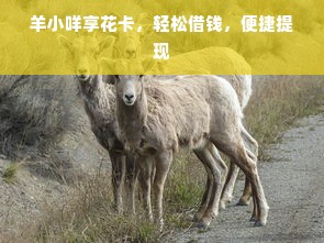 羊小咩享花卡，轻松借钱，便捷提现