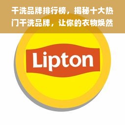 干洗品牌排行榜，揭秘十大热门干洗品牌，让你的衣物焕然一新！