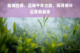 临城白茶，品味千年古韵，探寻茶叶品牌新篇章