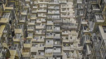 香港租房必看！这些冰箱品牌让你生活更便捷