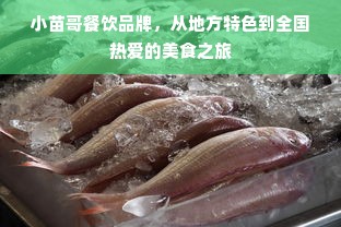 小苗哥餐饮品牌，从地方特色到全国热爱的美食之旅