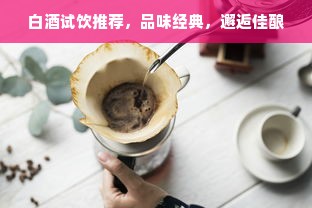 白酒试饮推荐，品味经典，邂逅佳酿