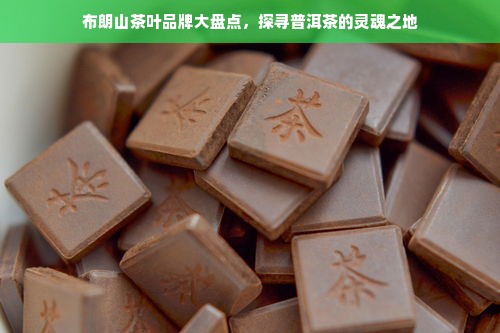 鹿优选额度提现商家攻略，如何巧妙修改额度享受更便捷服务