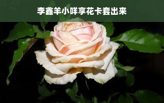 李鑫羊小咩享花卡套出来