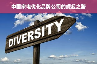 中国家电优化品牌公司的崛起之路