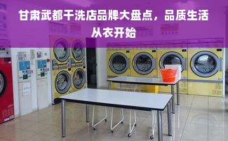 甘肃武都干洗店品牌大盘点，品质生活从衣开始